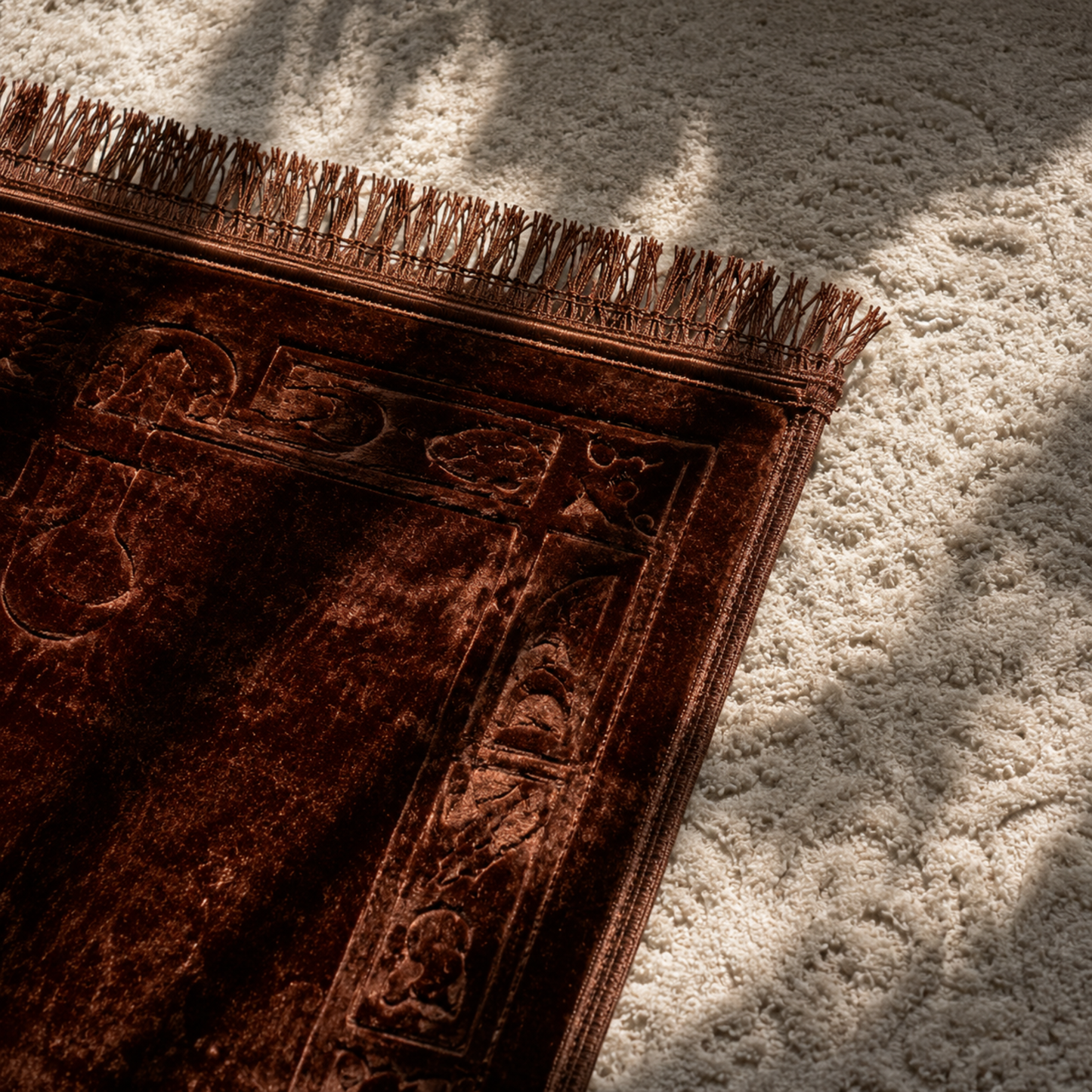 🤲  نور الهداية