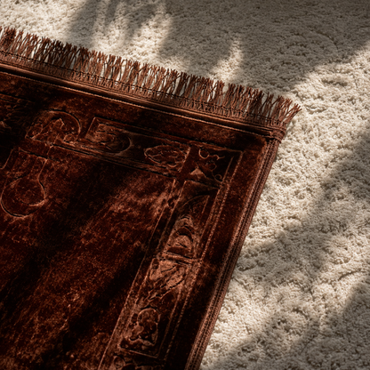 🤲  نور الهداية